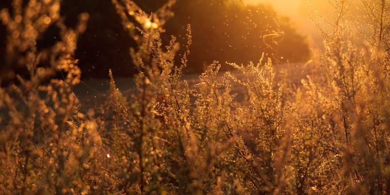 中国政府25年数字化变革之路：从政府机构改革到智慧政务平台建设