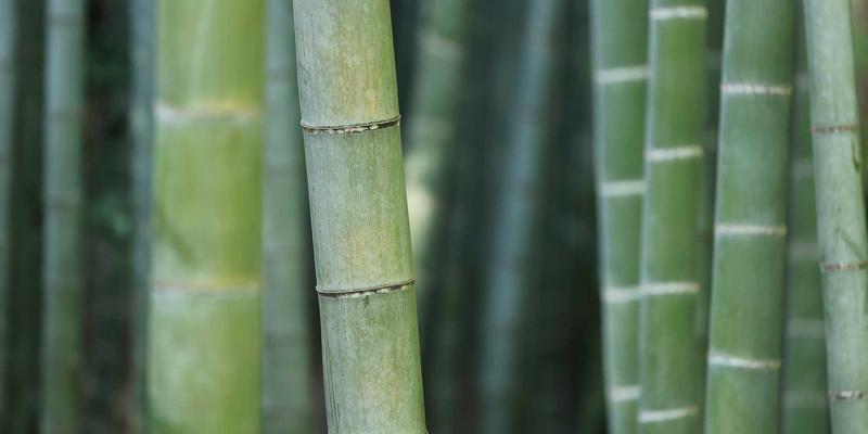 中国政府71：解析其职能、驻地信息与机构服务指南