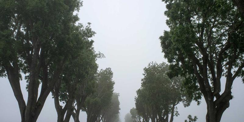 中国政府如何构建应对老龄化的服务体系：政务平台赋能与长期护理保险制度解析