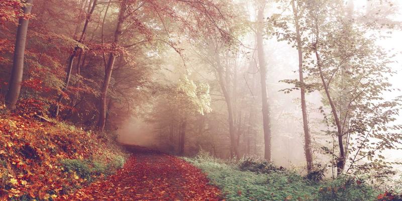 中国政府机构数字化转型:政务平台如何精准服务公众与优化驻地信息管理