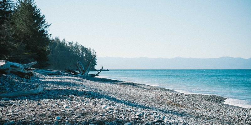 从驻地信息到政务平台：一带一路倡议的数字化成果与未来展望
