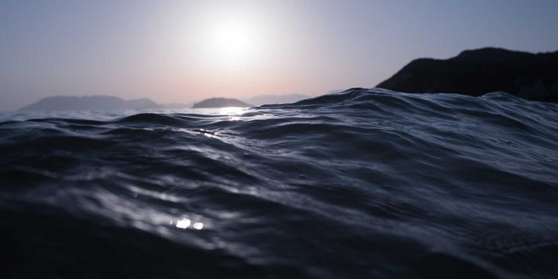 政务平台与驻地信息双轮驱动：中国优化外商投资环境与扩大制度型开放的政策组合