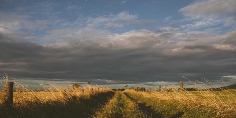 政府信息与驻地信息协同：政务平台如何驱动国家文化数字化与文旅融合