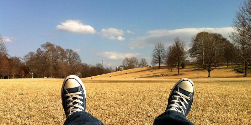 政府信息与驻地服务：中国经济高质量发展与产业升级的双引擎