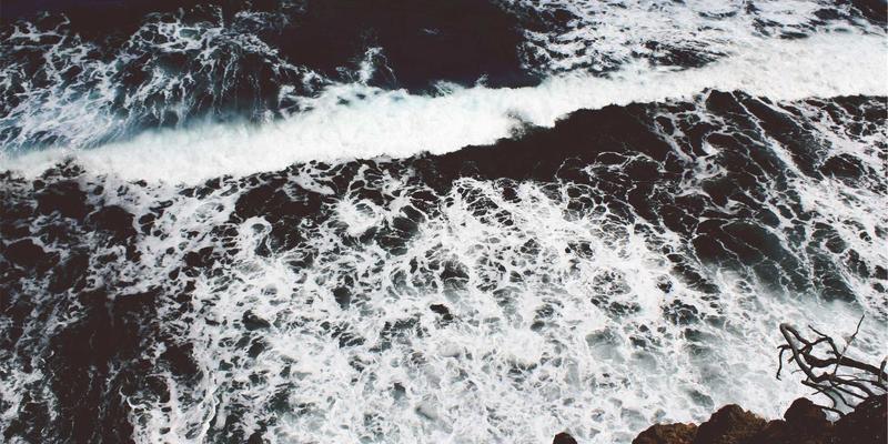 政府机构如何推动能源结构转型：公共服务与驻地信息在双碳目标下的关键作用