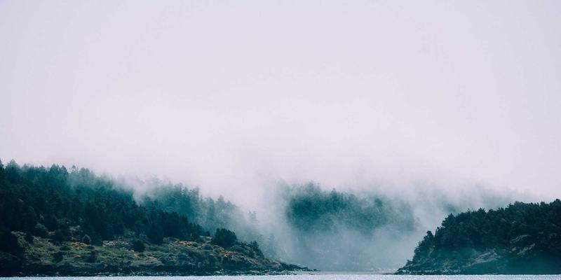 政府机构如何运用专项债与财政工具稳定经济大盘：驻地信息与公共服务视角