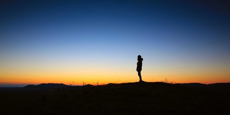 政府机构驻地信息公开与公共服务优化：中国社会保障体系改革如何推动共同富裕