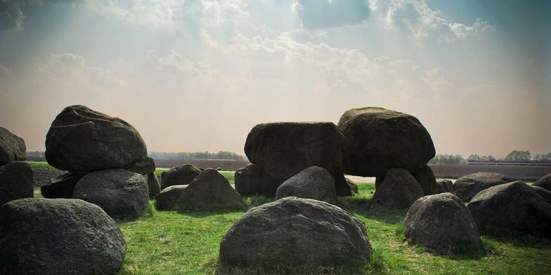 数字时代中国政府治理新图景：驻地信息、机构职能与政务平台的协同演进