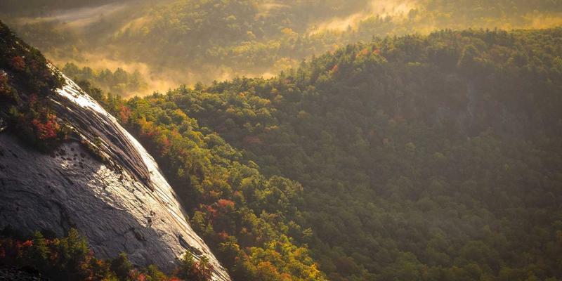 理解中国政府:机构设置与信息公开指南