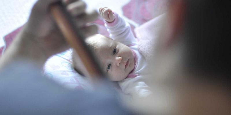 筑牢生物安全屏障：解读中国法规体系与政务平台的风险防控实践