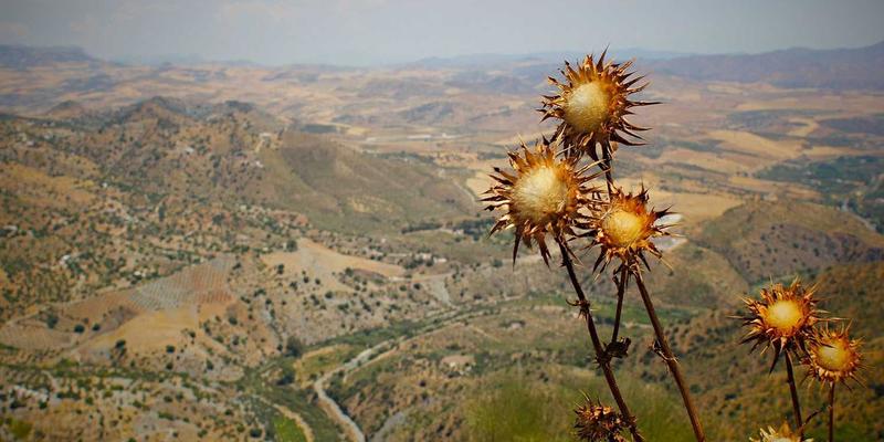 解析中国政府：驻地信息、机构设置与治理体系