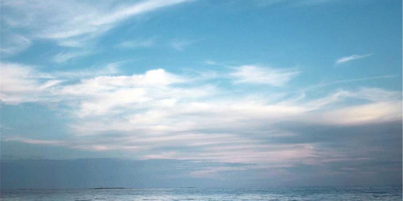 驻地信息与政务平台协同：解析中国政府生物安全立法与风险防控体系建设